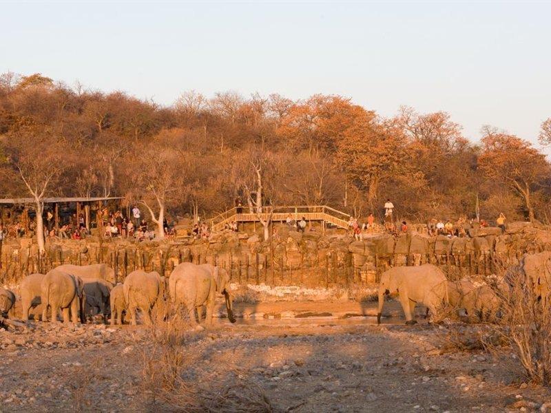 Отель Halali Camp Etosha Экстерьер фото